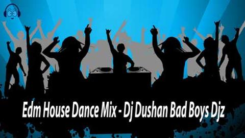 Edm House Dance Mix Dj Dushan Bad Boys Djz 2020 sinhala remix DJ free download