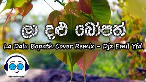 La Dalu Bopath Cover Remix Djz Emil Yfd 2022 sinhala remix DJ song free download
