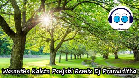 Wasantha Kaleta Panjabi Remix Dj Pramuditha 2022 sinhala remix DJ song free download