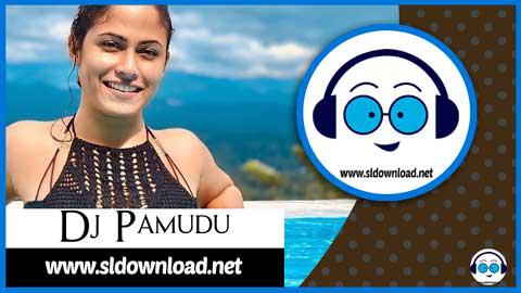 2021 Fun Dance Dj Nonstop Spd Yx Dj Pamudu Remix sinhala remix DJ song free download