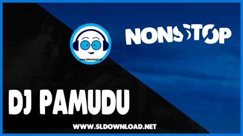 2021 Lovers Gift Dj Nonstop Djz Pamudu Vol-1 sinhala remix free download