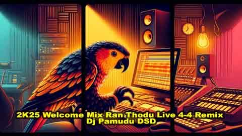 2K25 Welcome Mix Ran Thodu Live 4 4 Remix Dj Pamudu DSD sinhala remix free download
