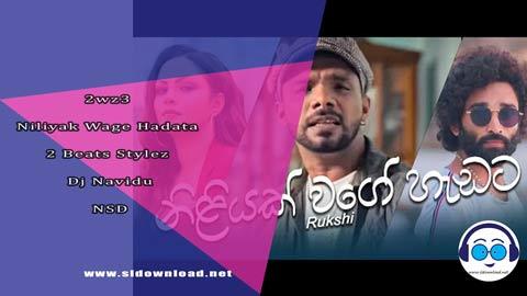 2wz3 Niliyak Wage Hadata 2 Beats Stylez Dj Navidu NSD sinhala remix DJ song free download