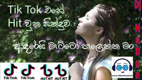 Adarei Matto Palenna TiK ToK Hit Dj NaDun 2021 sinhala remix free download