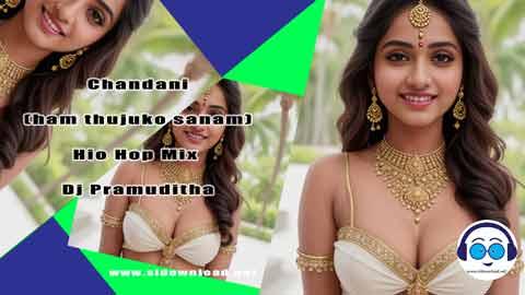 Chandani ham thujuko sanam Hio Hop Mix Dj Pramuditha 2023 sinhala remix DJ song free download