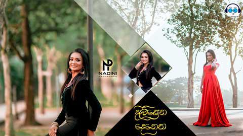 Dilisena Denetha Obe Radio Edit House Remix Djz Emil Yfd 2021 sinhala remix free download