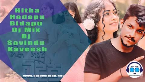 Hitha Hadapu Bidapu Dj Mix Dj Savindu Kaveesh 2023 sinhala remix DJ song free download