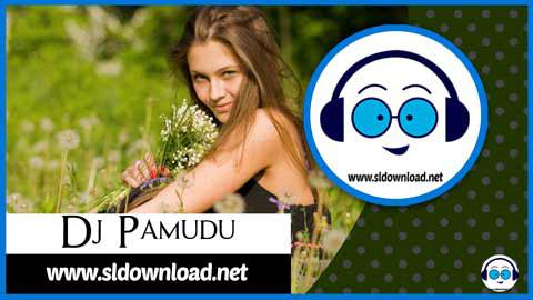 Oya Awe Eda Mal Pare Hip Hop Mix Dj Pamudu Pansilu 2021 sinhala remix DJ song free download