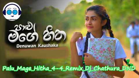 Palu Mage Hitha 4 4 Remix Dj Chathura DND 2022 sinhala remix DJ song free download