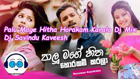 Palu Mage Hitha Horakam Karala Dj Mix Dj Savindu Kaveesh 2021 sinhala remix free download