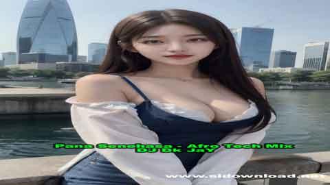 Pana Senehasa Afro Tech Mix DJ Dk JaY 2025 sinhala remix free download