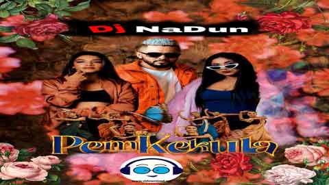 Pem Kakula Teech Party Dj NaDun 2021 sinhala remix DJ song free download