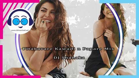 Pitakavare Kawadi n Papare Mix DJ ShaLaka 2023 sinhala remix DJ song free download