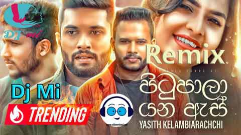 Pitupala Yana As Remix 2021 sinhala remix DJ song free download