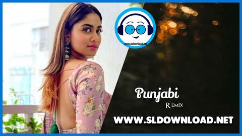 Punjabi Bhangra Mashup 2021 Hindi Wedding Dance Remix DJ sinhala remix free download