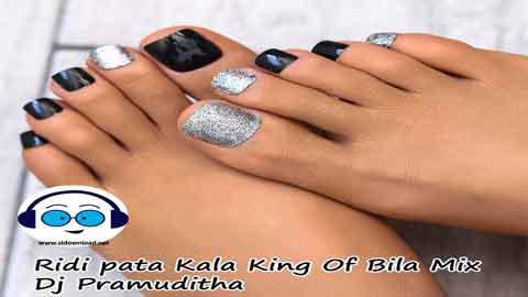 Ridi pata Kala King Of Bila Mix Dj Pramuditha 2022 sinhala remix DJ song free download