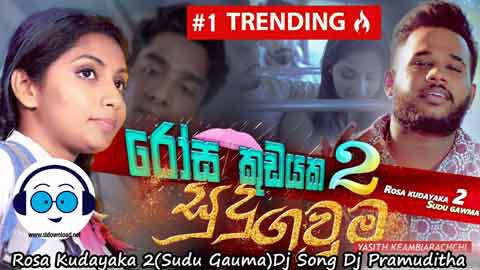 Rosa Kudayaka 2 Sudu Gauma Dj Song Dj Pramuditha 2022 sinhala remix DJ song free download