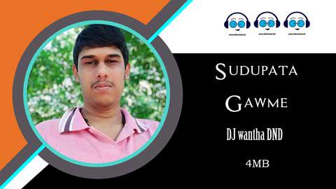 SUDUPATA GAWME HEATING HITHOT MIX BY DJ NUWANTHA DND sinhala remix DJ song free download