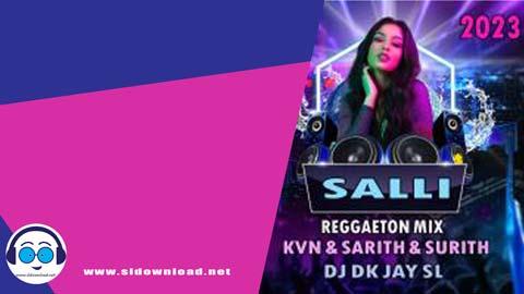 Salli Reggaeton Mix DJ Dk JaY 2023 sinhala remix free download
