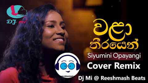 Wala Theerayen Eha Cover Remix 2021 sinhala remix DJ song free download